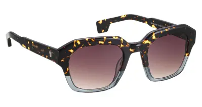 Entourage of 7 Sun - Kinneloa 0895 Brown 50-23-140